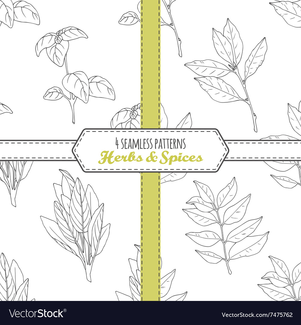 Hand drawn seamless patterns collection with sage