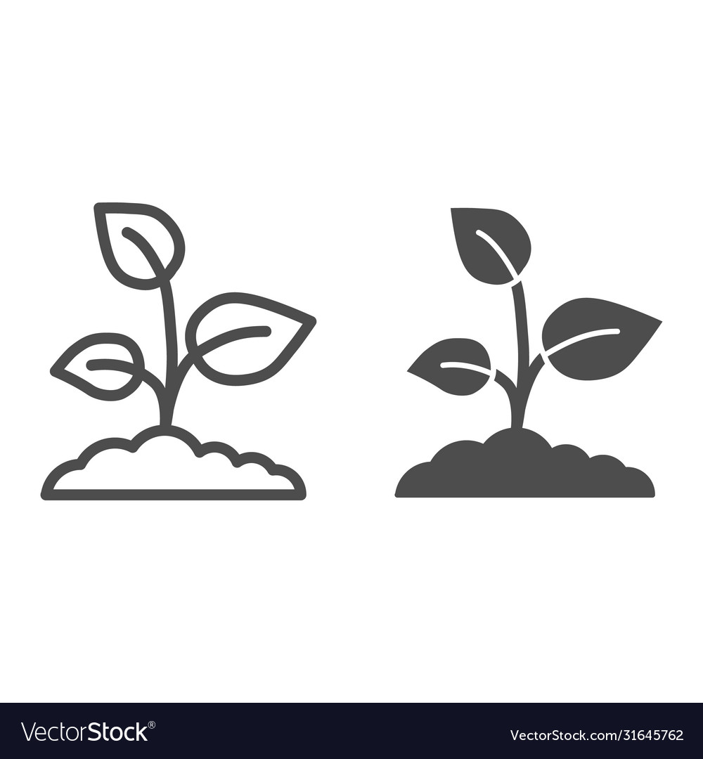 Young growth with three leaves line and solid icon