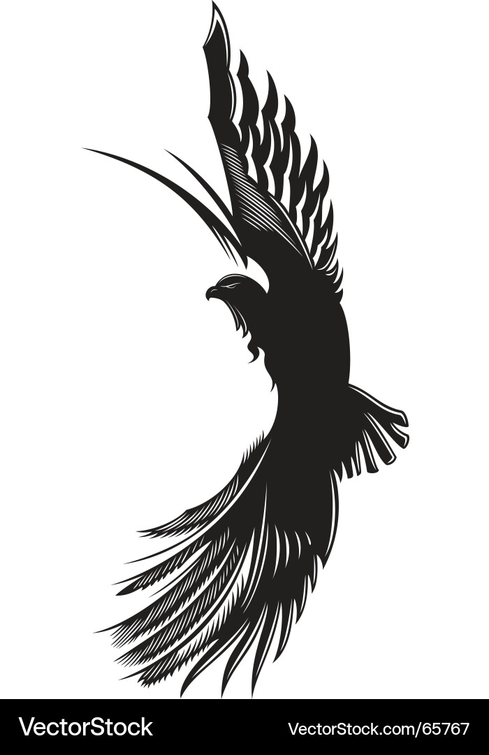 Eagle Royalty Free Vector Image - VectorStock