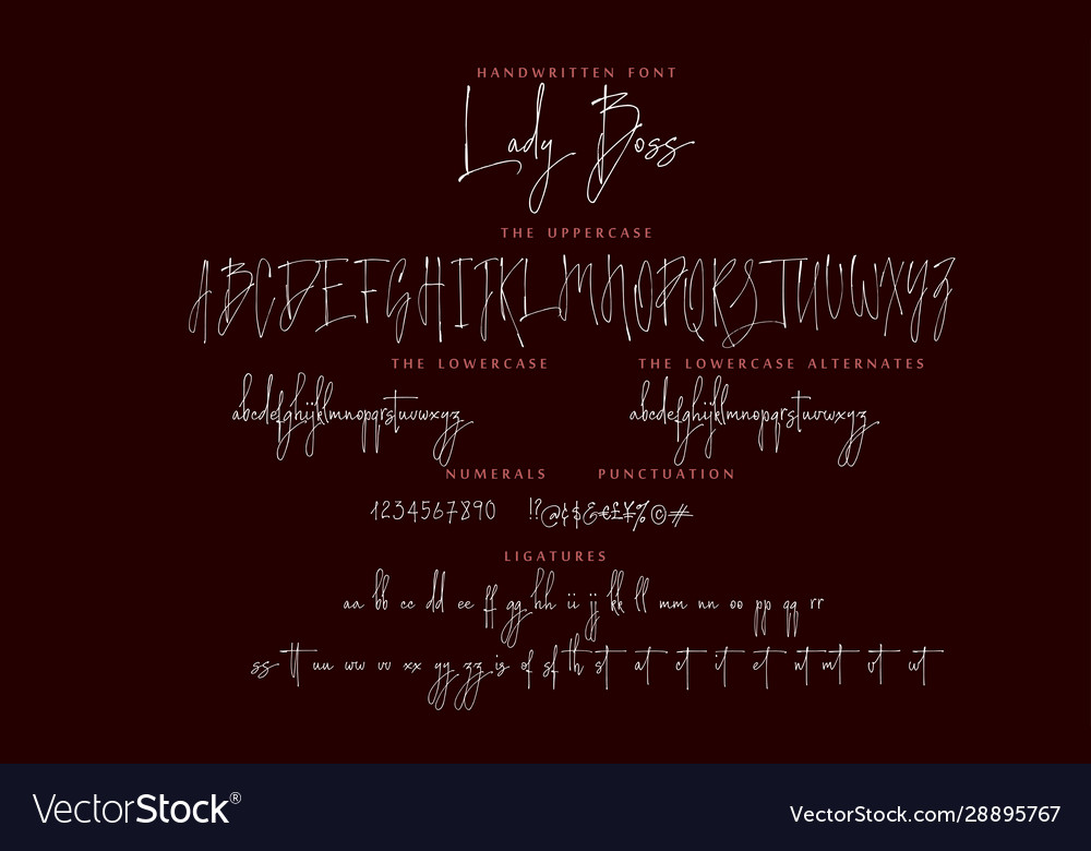 Handwritten script font alphabet lady boss