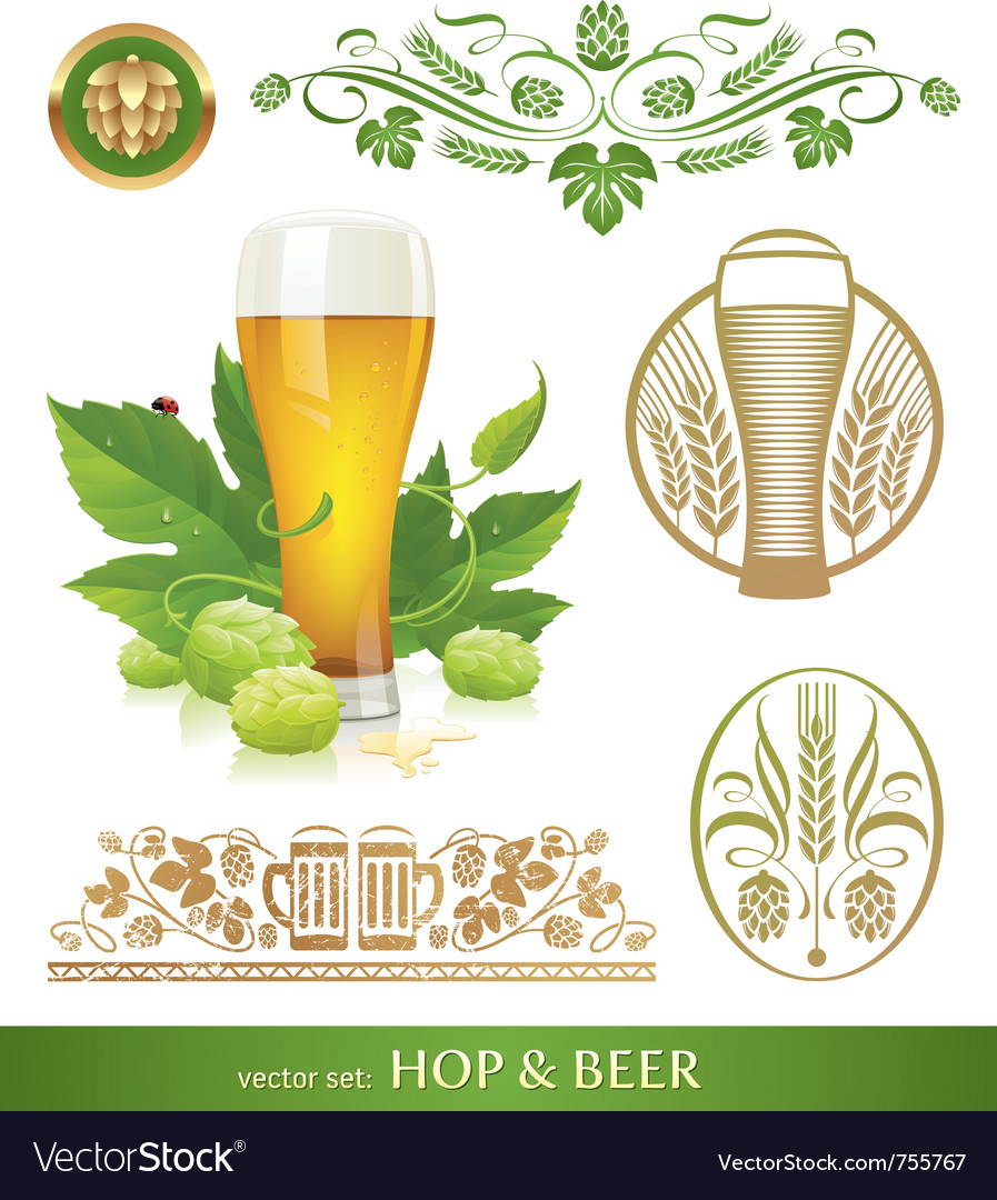 Set - beer hop and brewing Royalty Free Vector Image