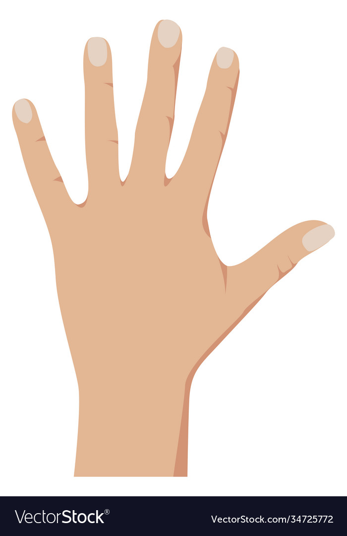 Counting Hand - Number Five
