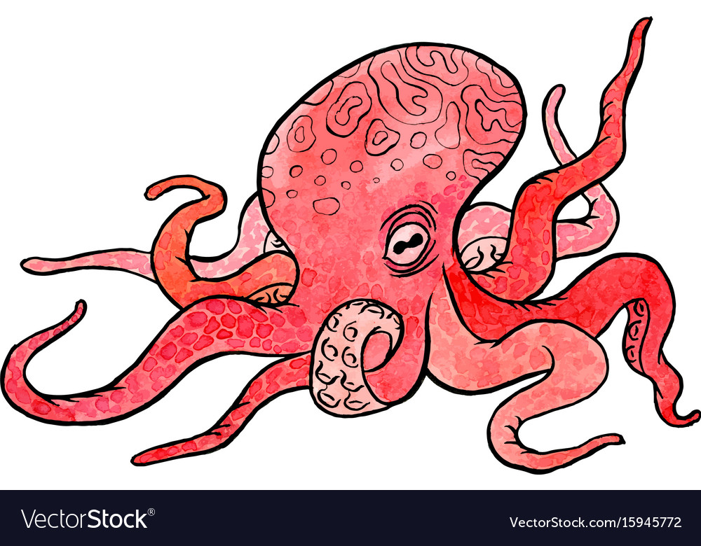 Hand drawn octopus Royalty Free Vector Image - VectorStock