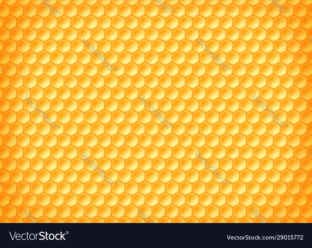 Texture pattern yellow honeycombs with honey Vector Image