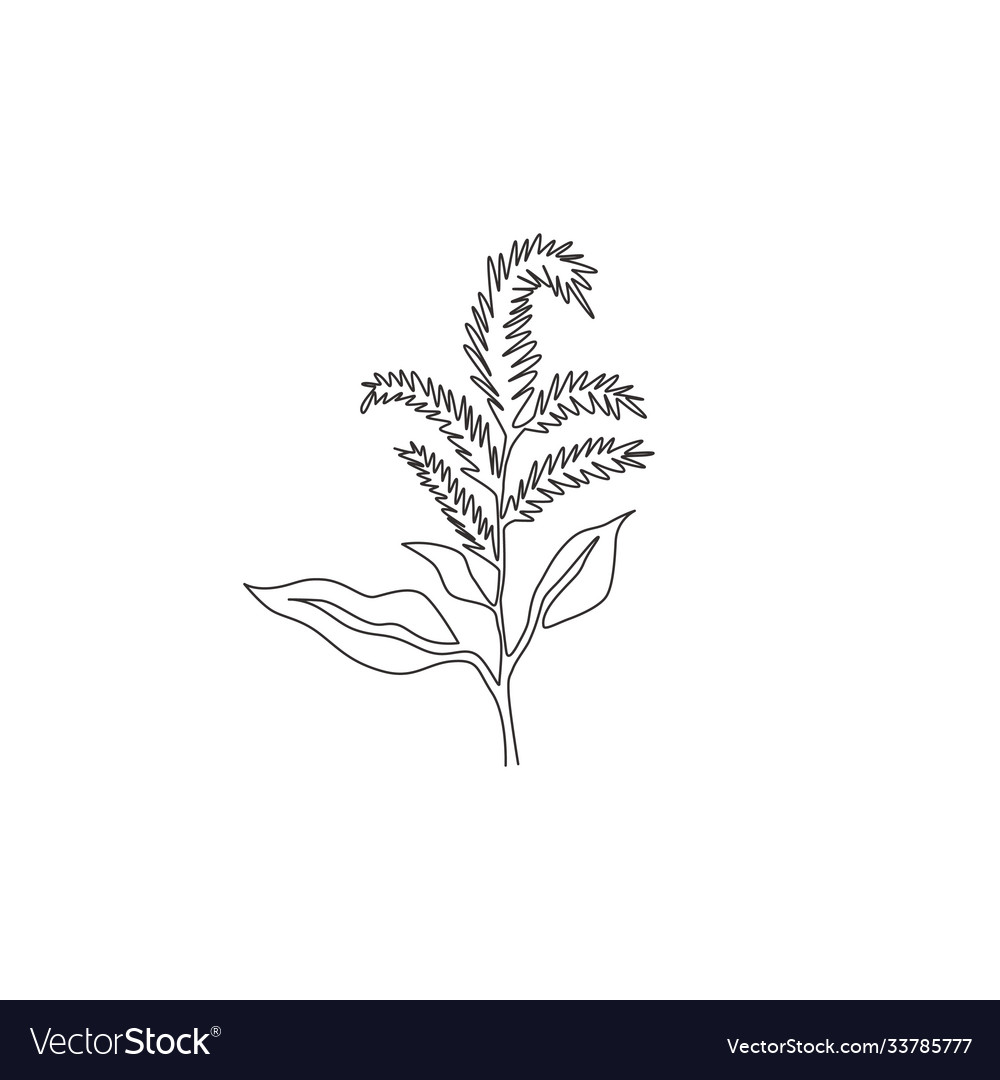 Single One Line Drawing Beauty Fresh Royalty Free Vector