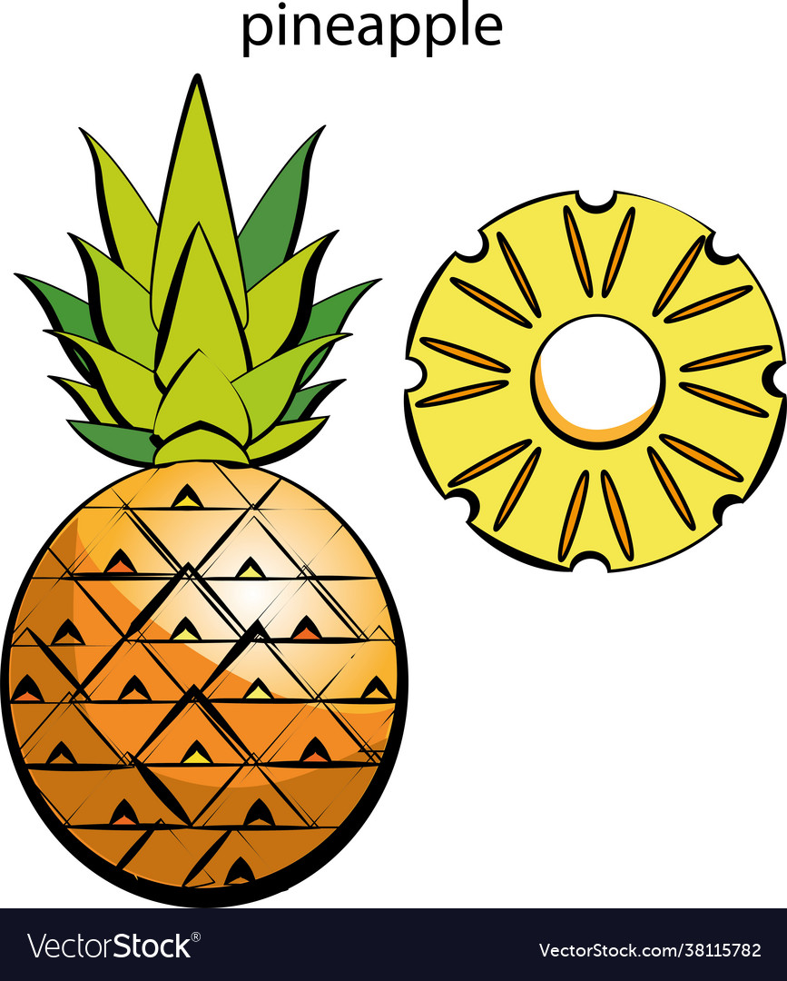 Pineapple Royalty Free Vector Image - VectorStock