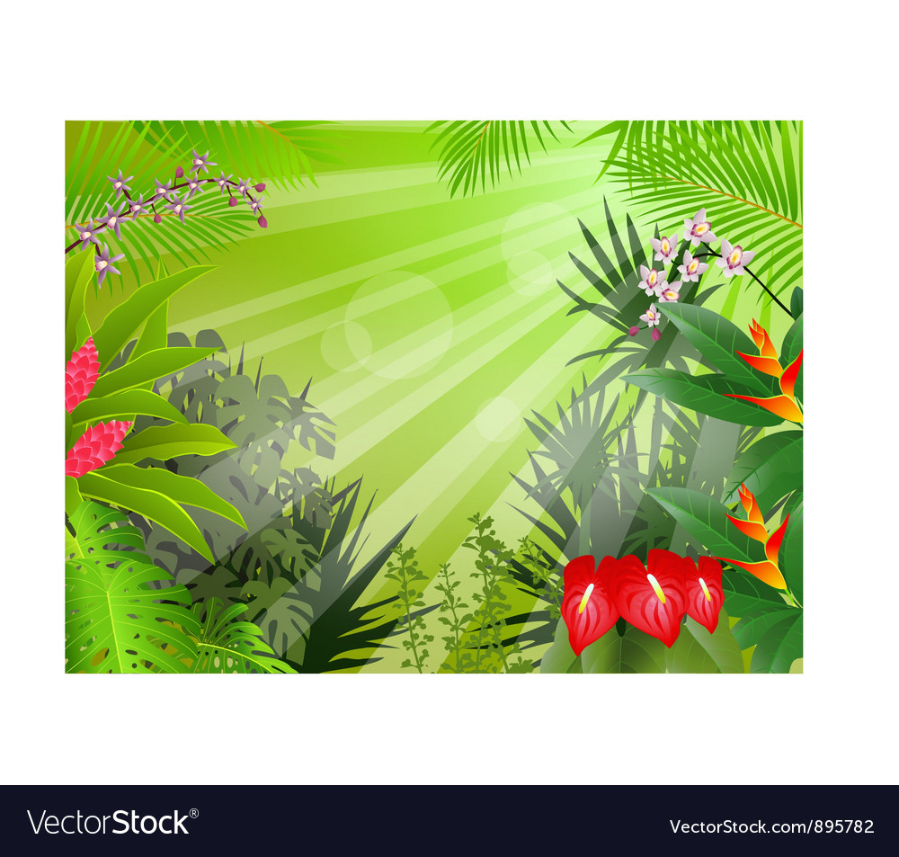 Tropical forest background