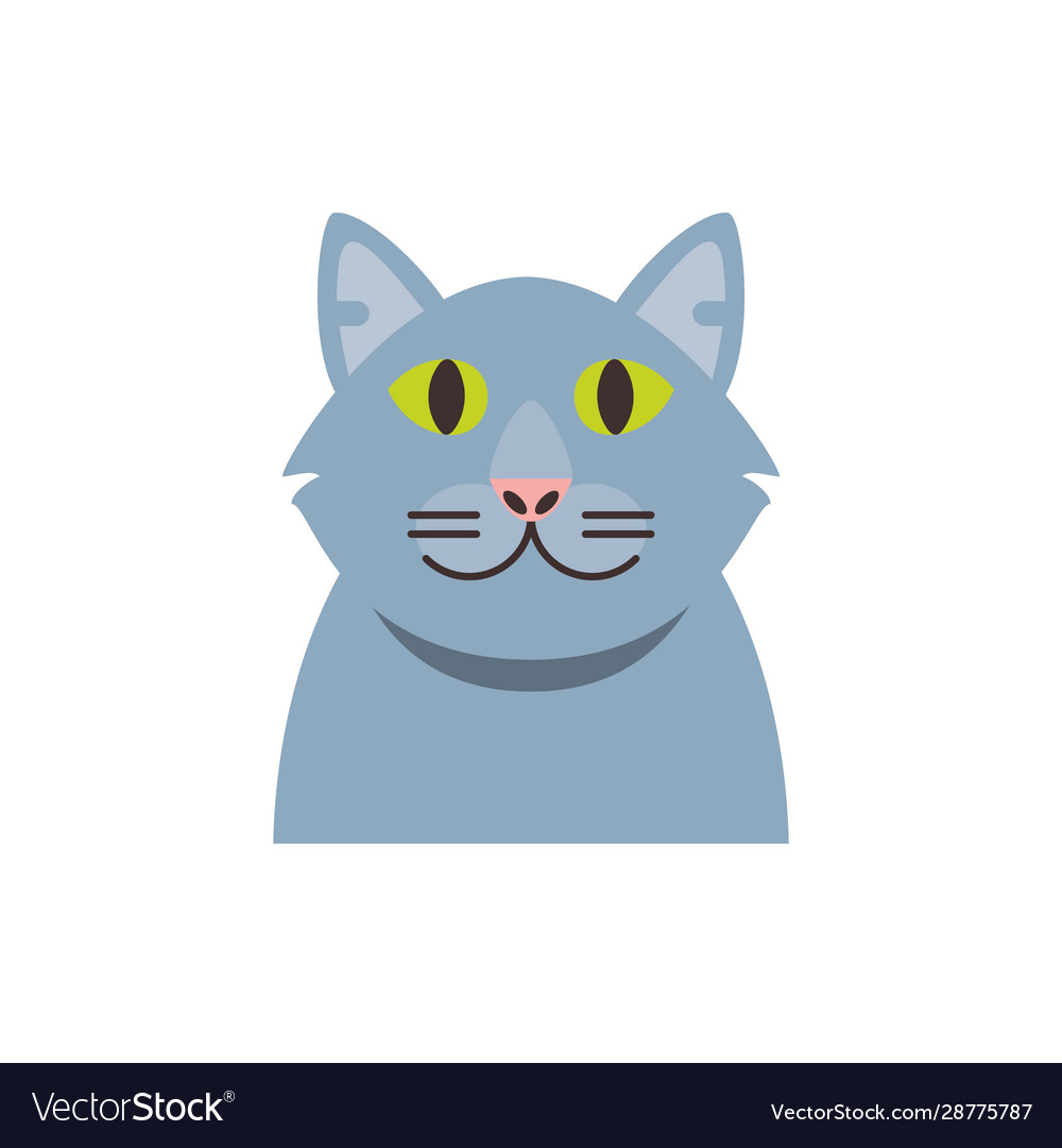 Cute grey cat cartoon design