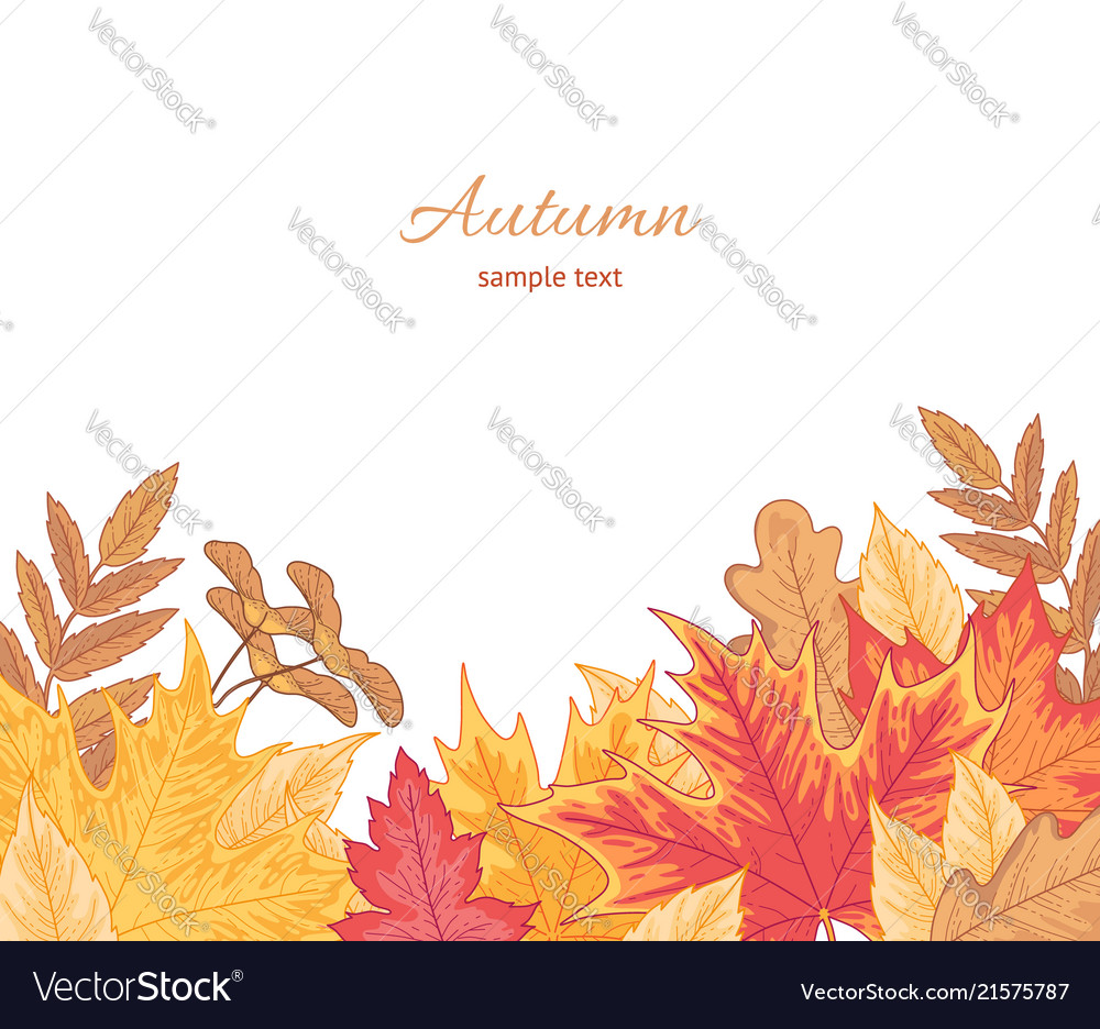 Multicolor fallen leaves Royalty Free Vector Image