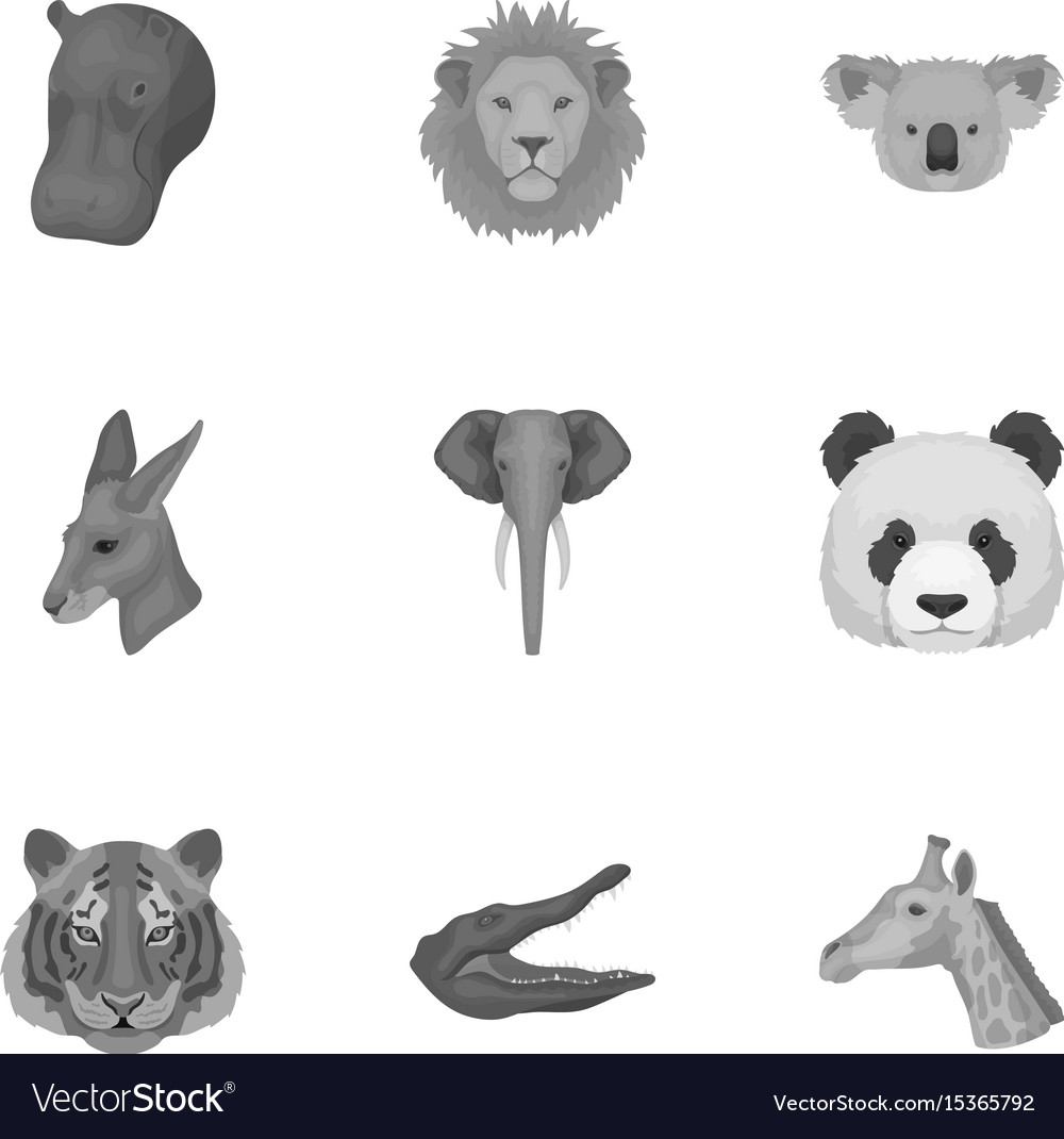 A set of icons wild animals predatory