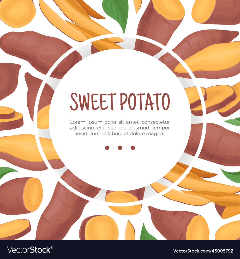 Batata or sweet potato root vegetable banner