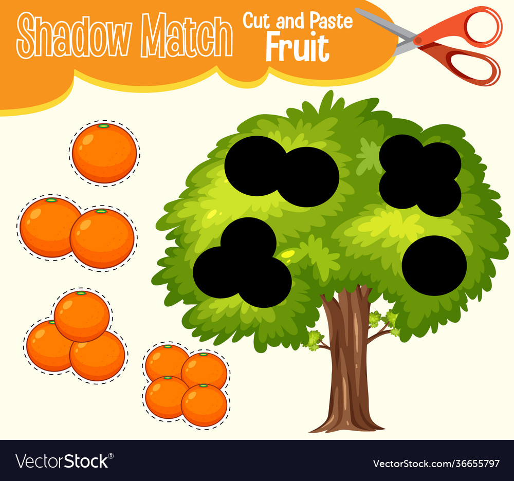 Find correct shadow shadow match worksheet Vector Image