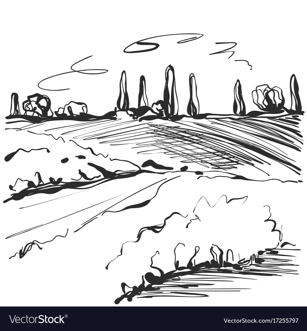 Landscape sketch tree and fields