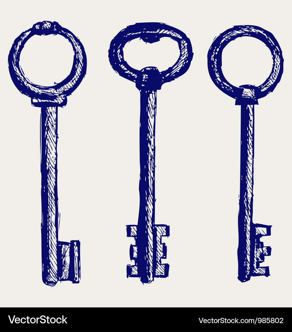 Keys sketch Royalty Free Vector Image - VectorStock
