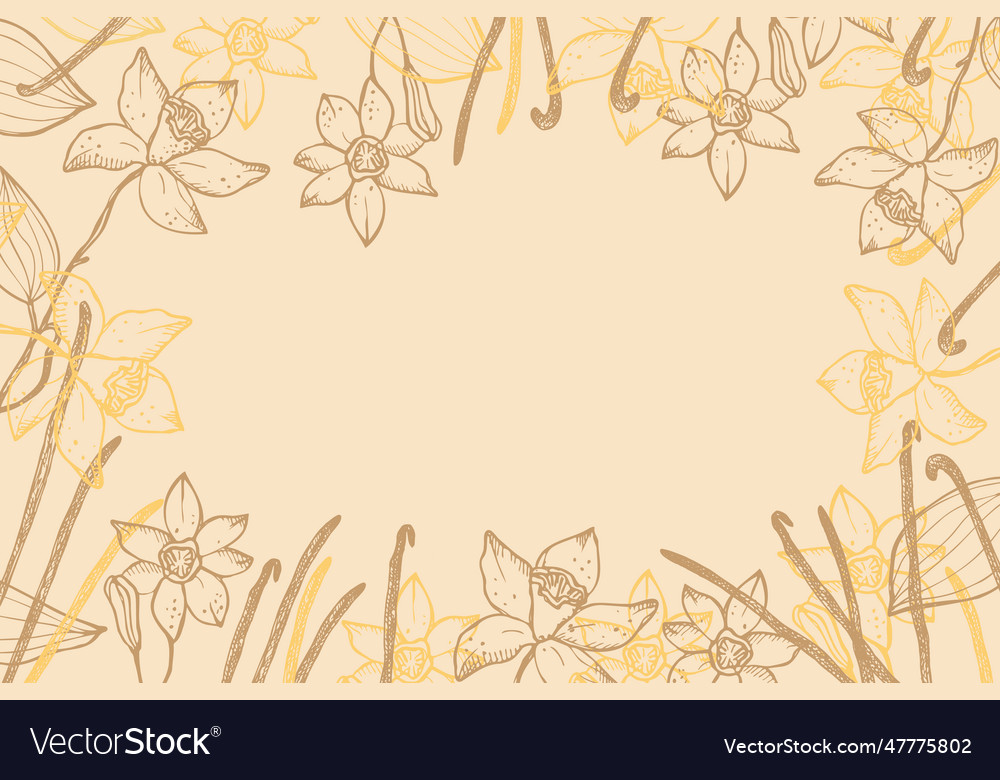 Vanilla label template background for text Vector Image Vanilla label template background for text