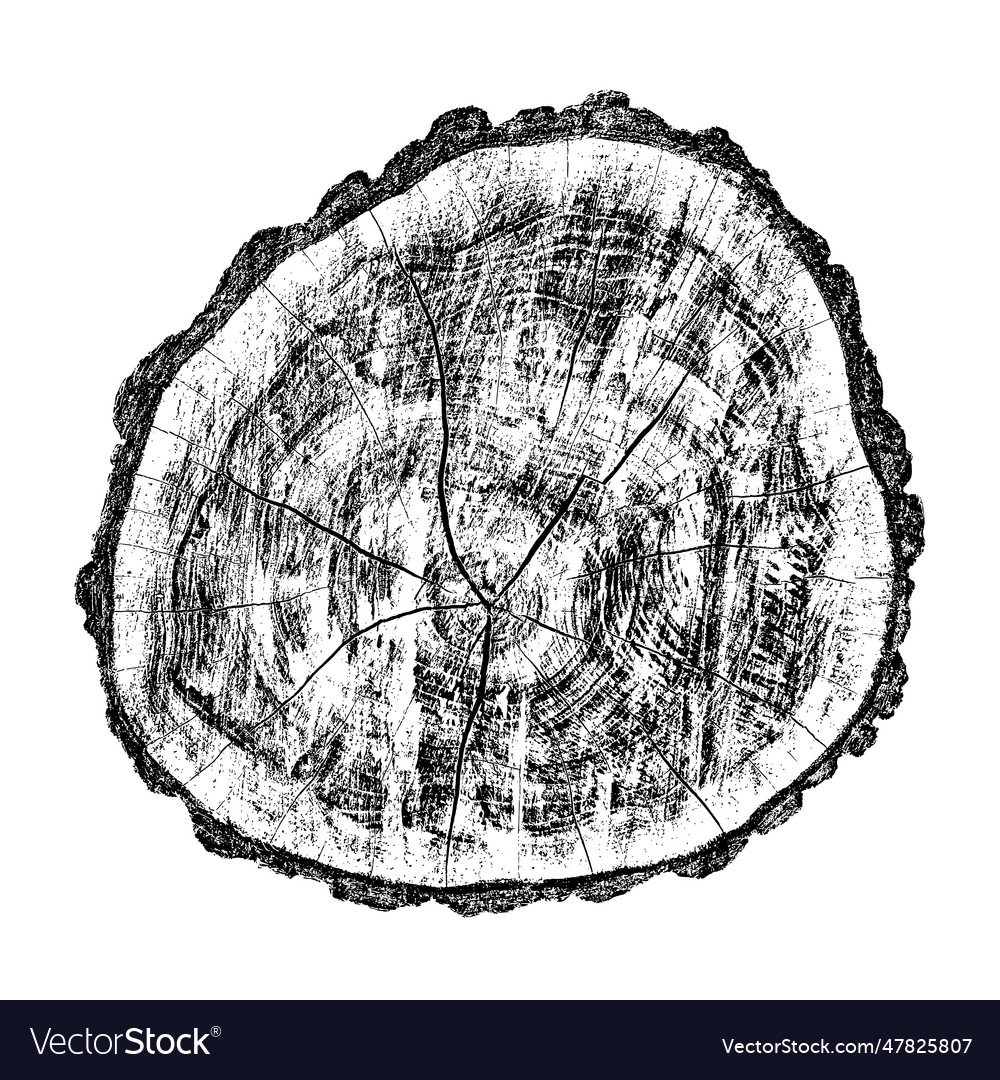 Distressed wood texture Royalty Free Vector Image