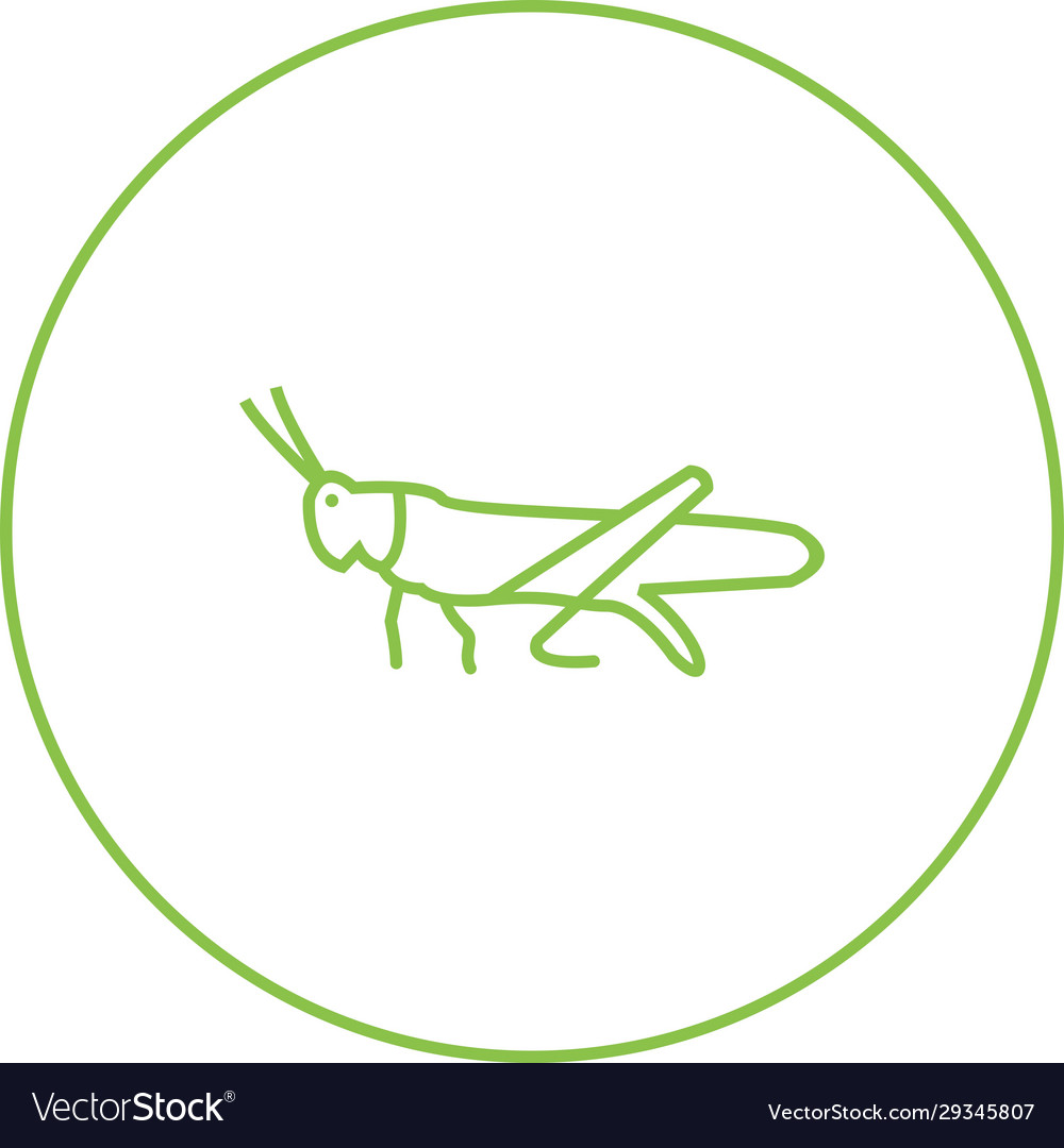 Unique grasshopper line icon