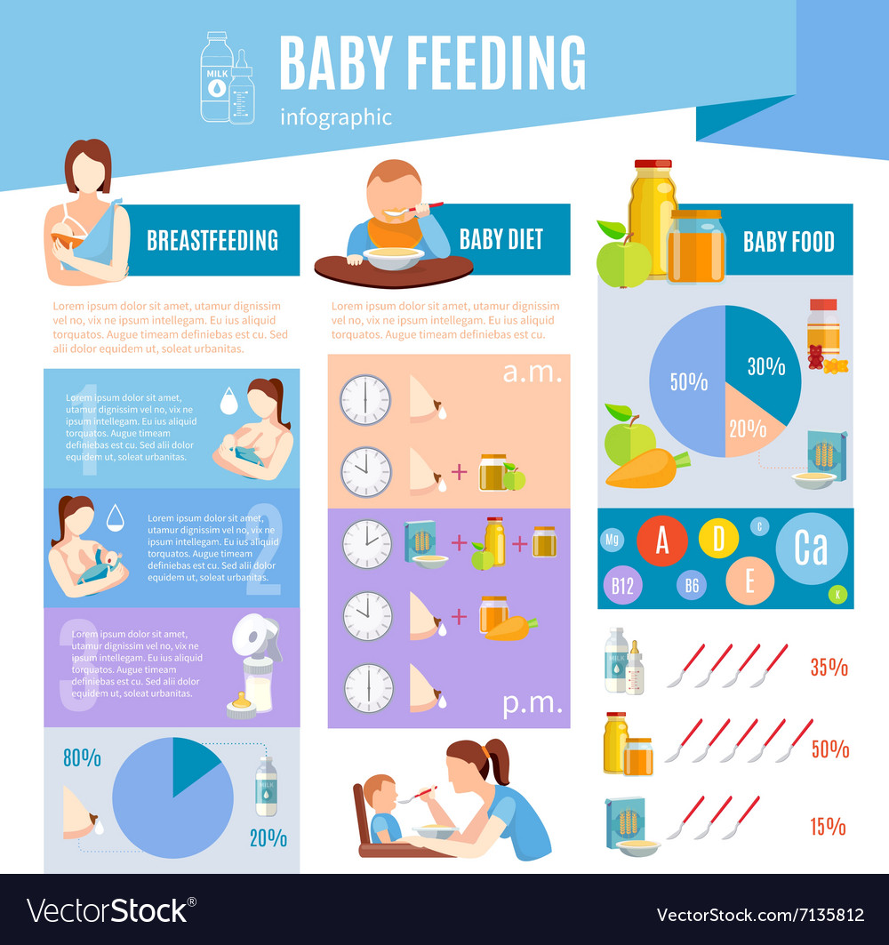 baby-feeding-information-infographic-layout-vector-image