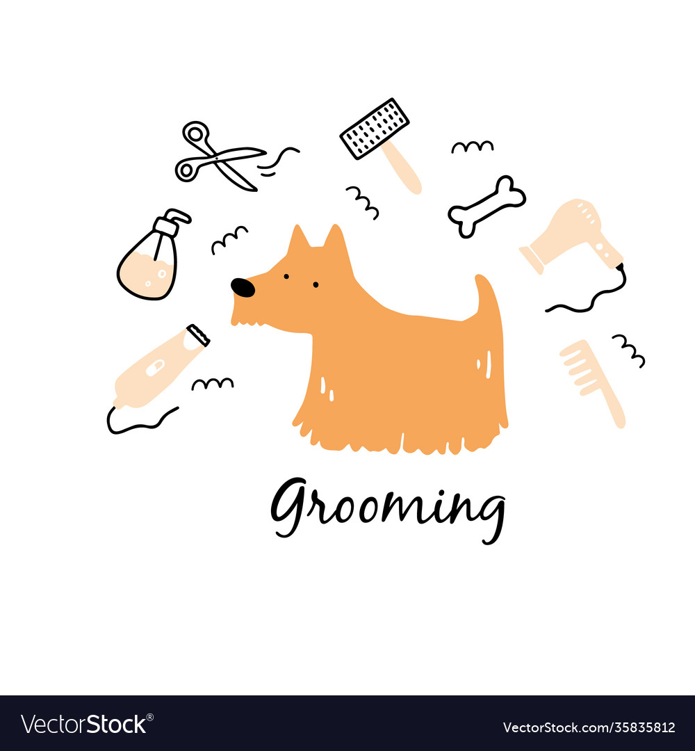 K9 pet hot sale grooming