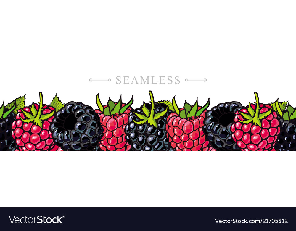 Raspberry and blackberry border seamless pattern