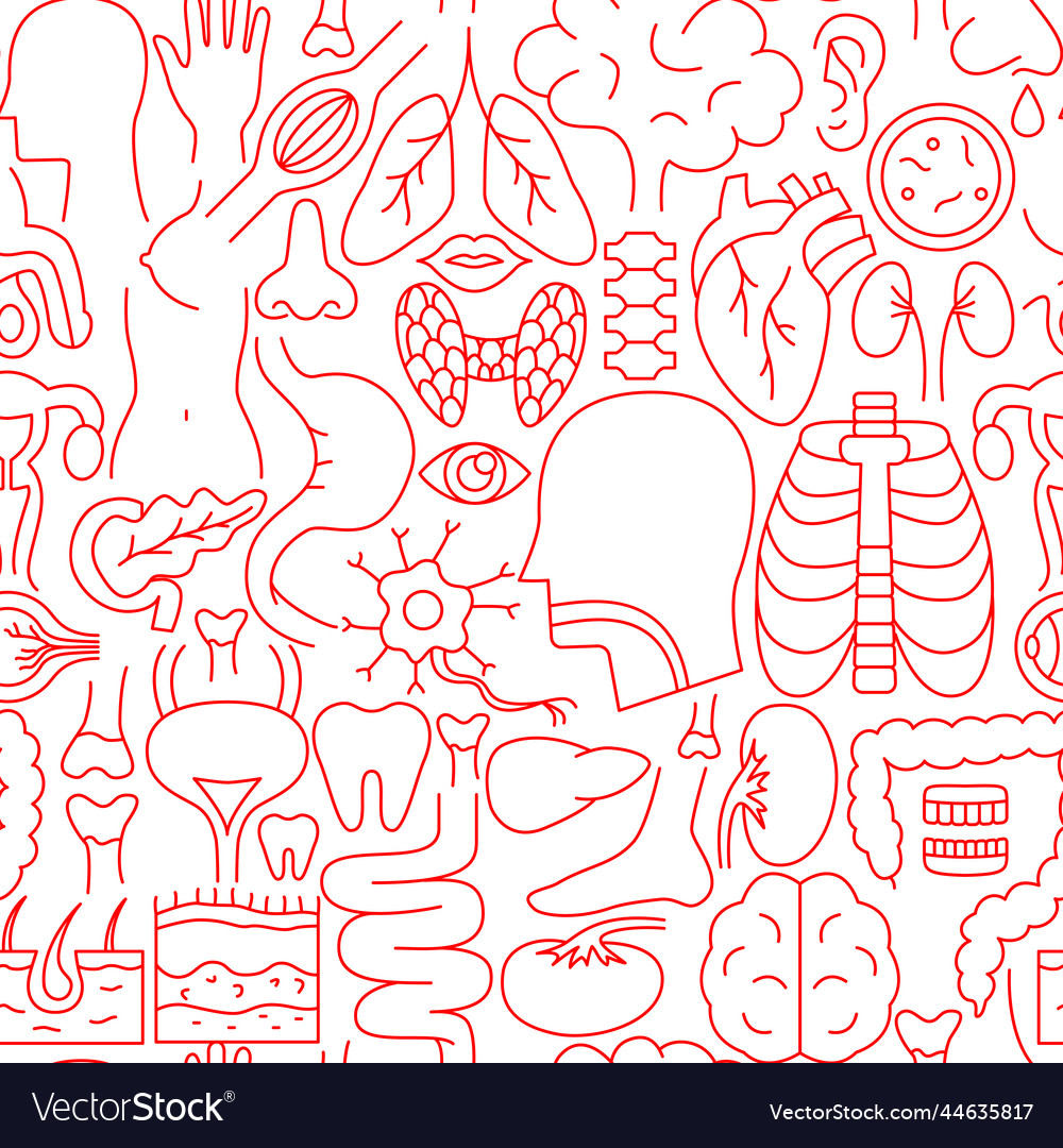 Anatomy line seamless pattern vector image Anatomy line seamless pattern