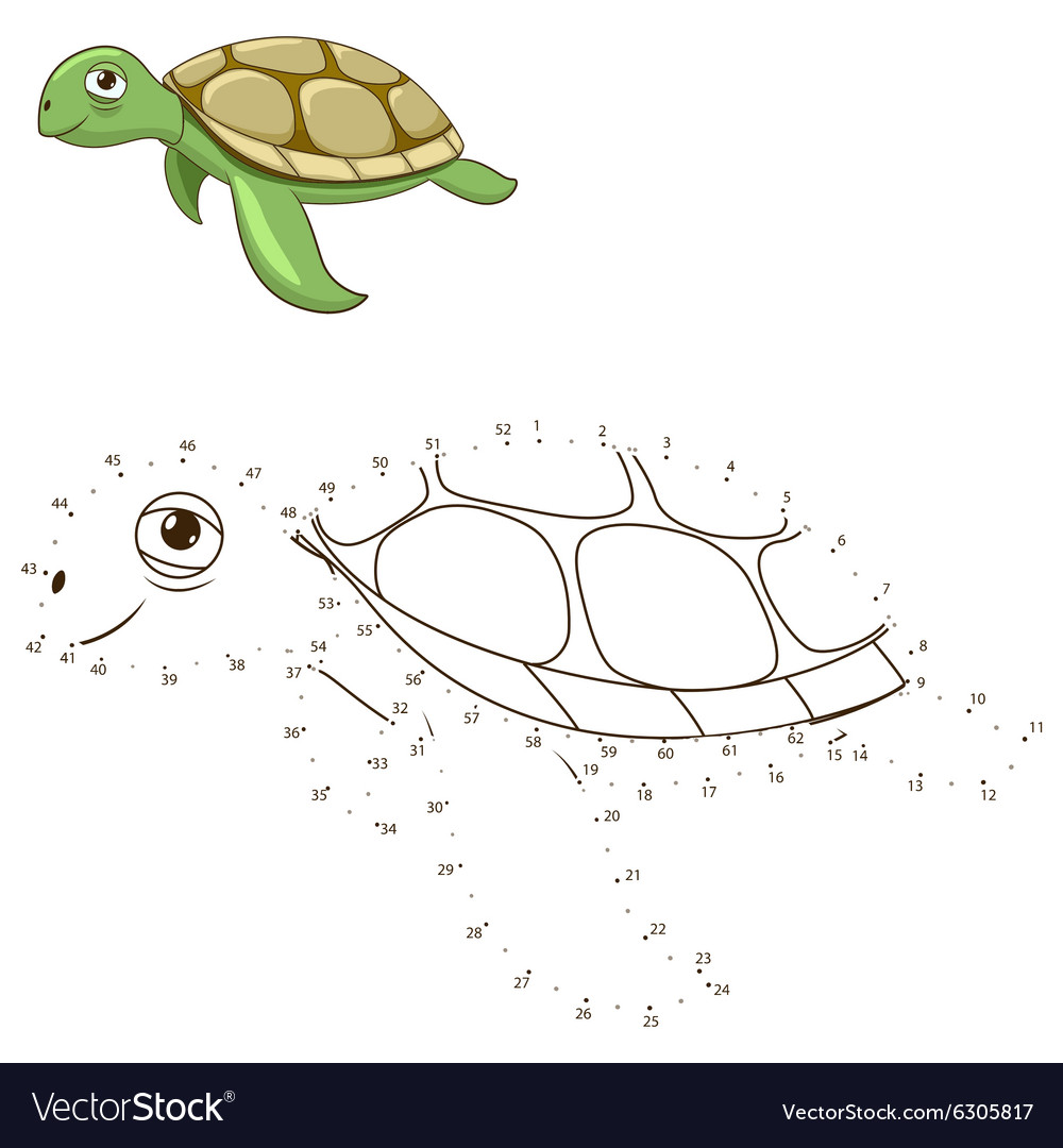 Connect the Dots Turtle Game