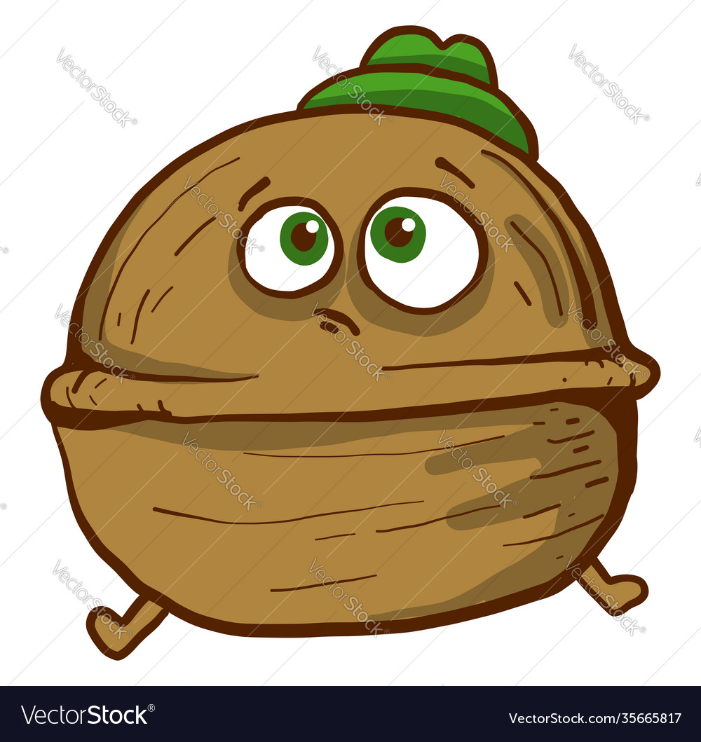 Walnut with green eyes on a white background Vector Image