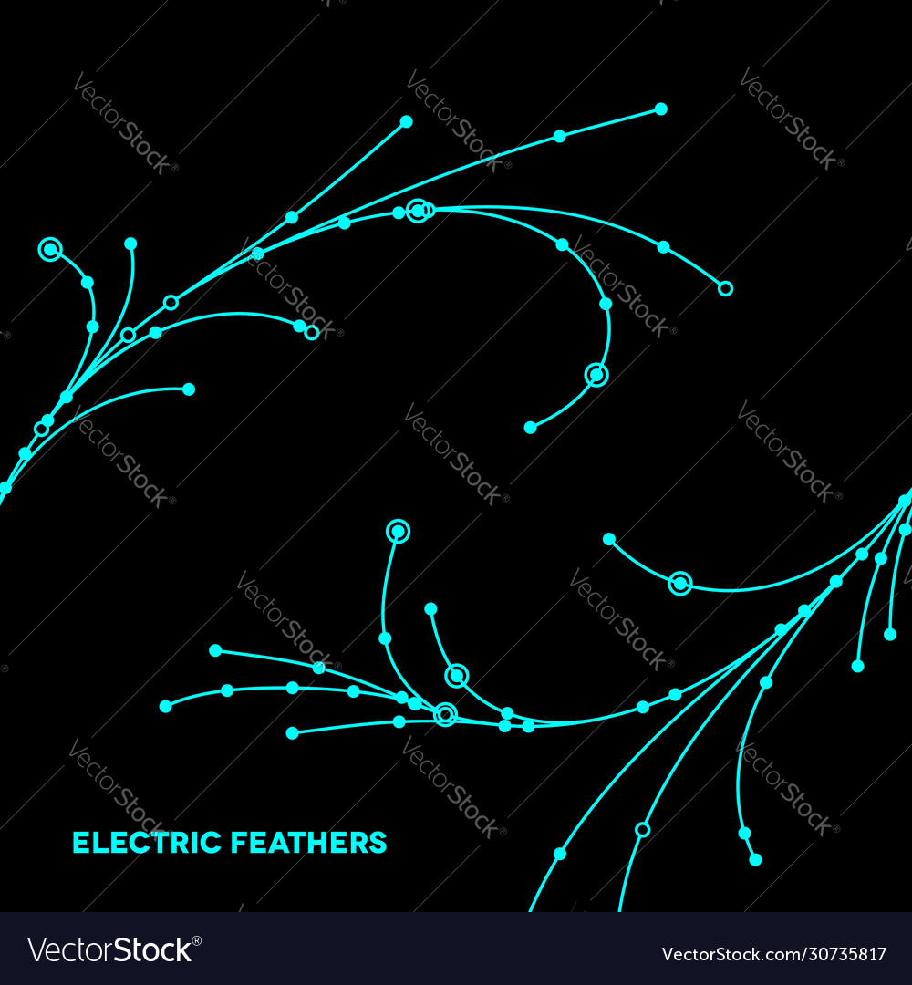 Wire grid feathers made connected dots vector image Wire grid feathers made connected dots