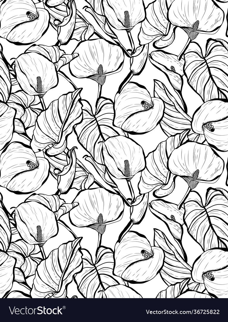 Elegant Calla Lily Pattern