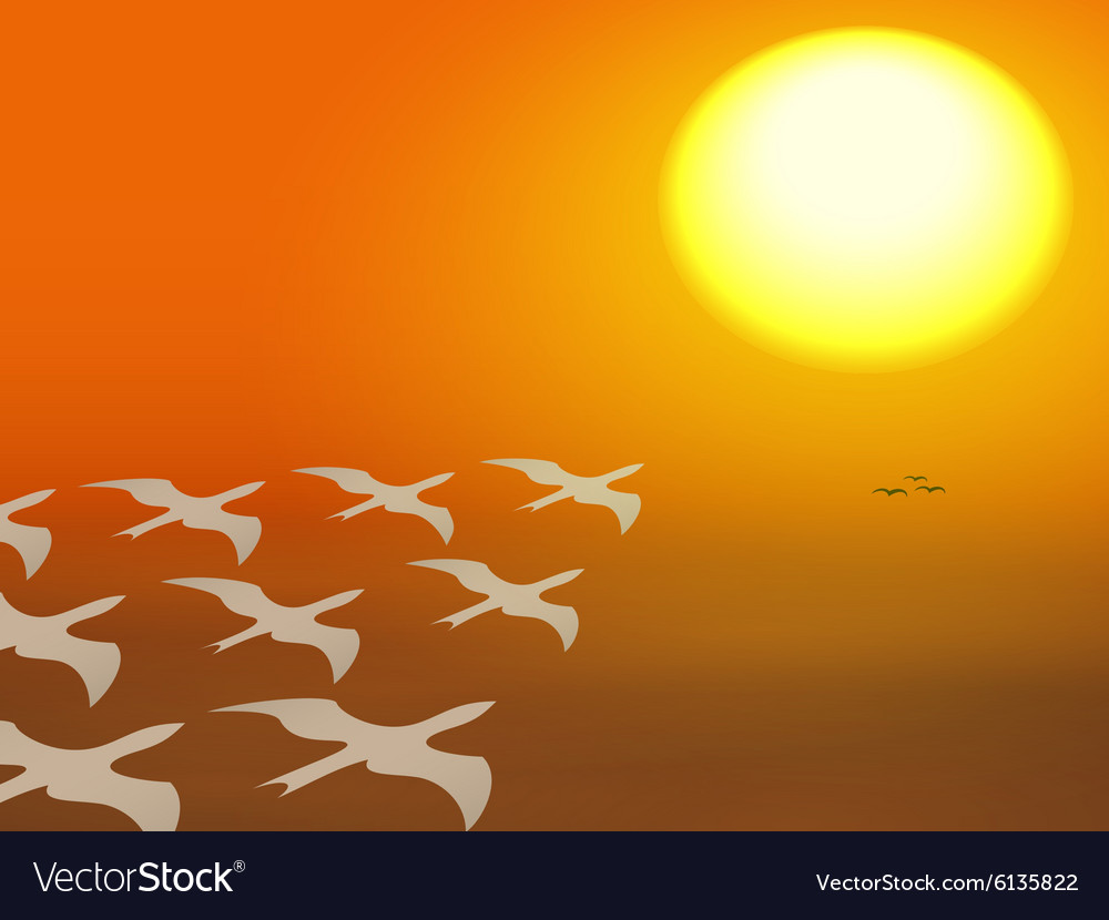 Migration Royalty Free Vector Image - Vectorstock