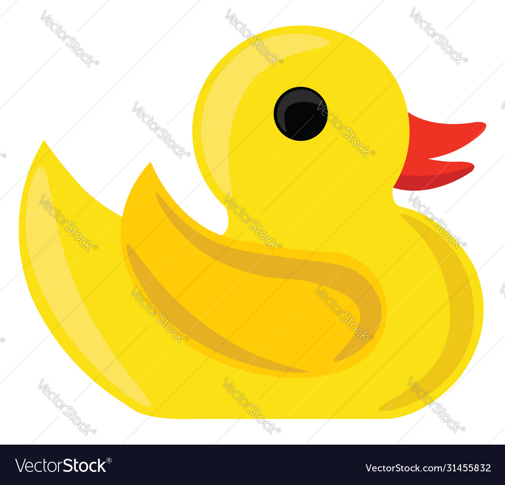 Rubber duck on white background Royalty Free Vector Image