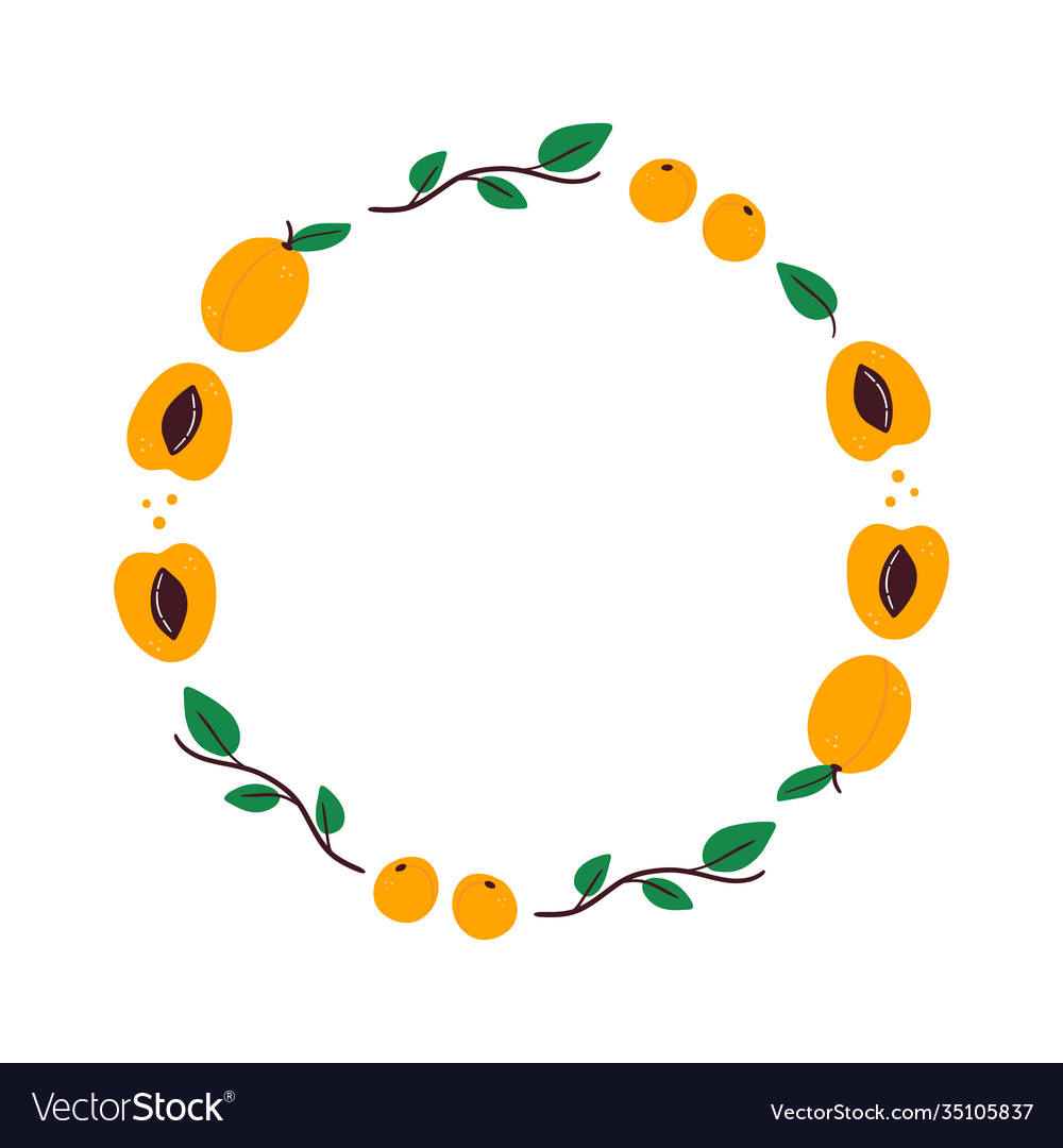 Apricot fruits and leaves round frame