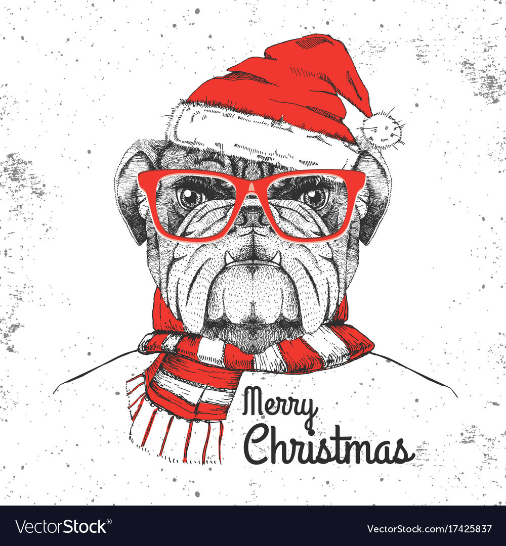 Christmas hipster fashion animal bulldog Vector Image