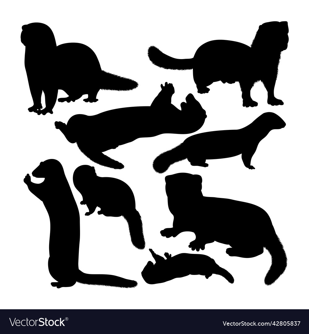 Mink animal silhouettes Royalty Free Vector Image