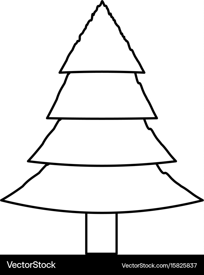 Tree pine isolated Royalty Free Vector Image - VectorStock