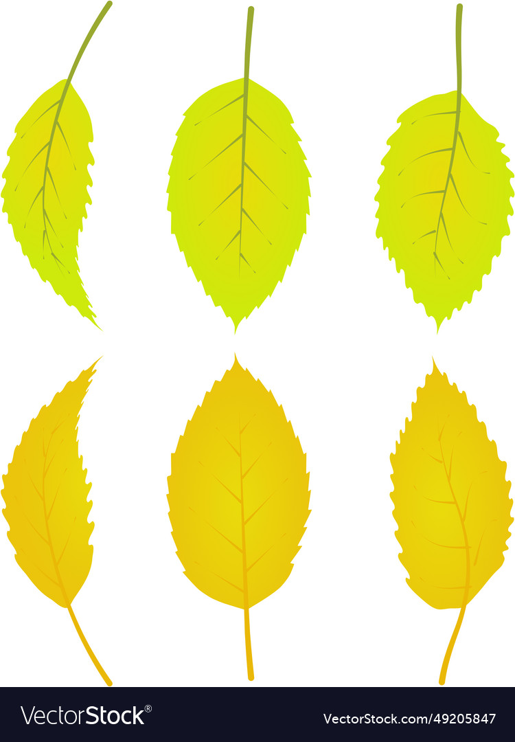 Autumn leafs foliage falling graphic gold yellow