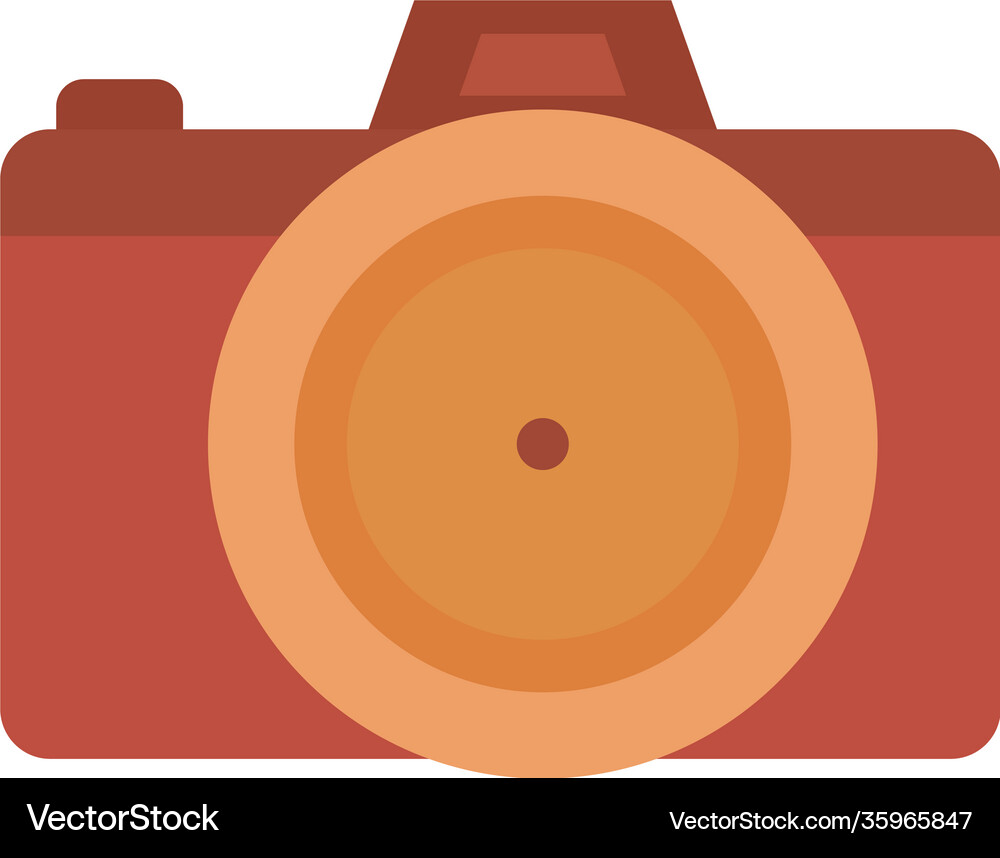 Camera on a white background Royalty Free Vector Image