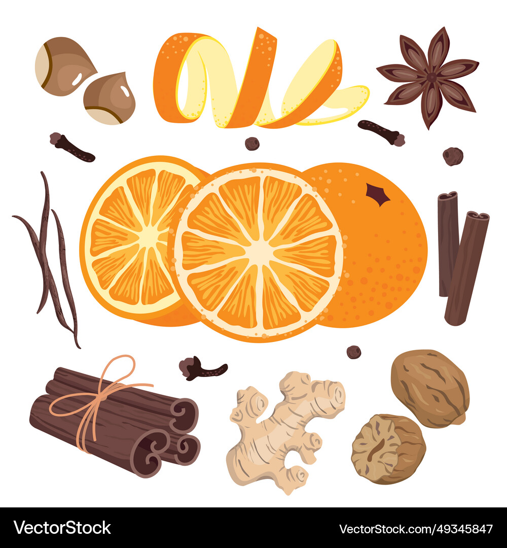 Christmas Spice Set Royalty Free Vector Image Vectorstock