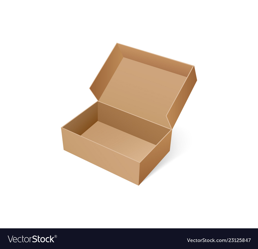 Empty Shoe Box - Brown Cardboard