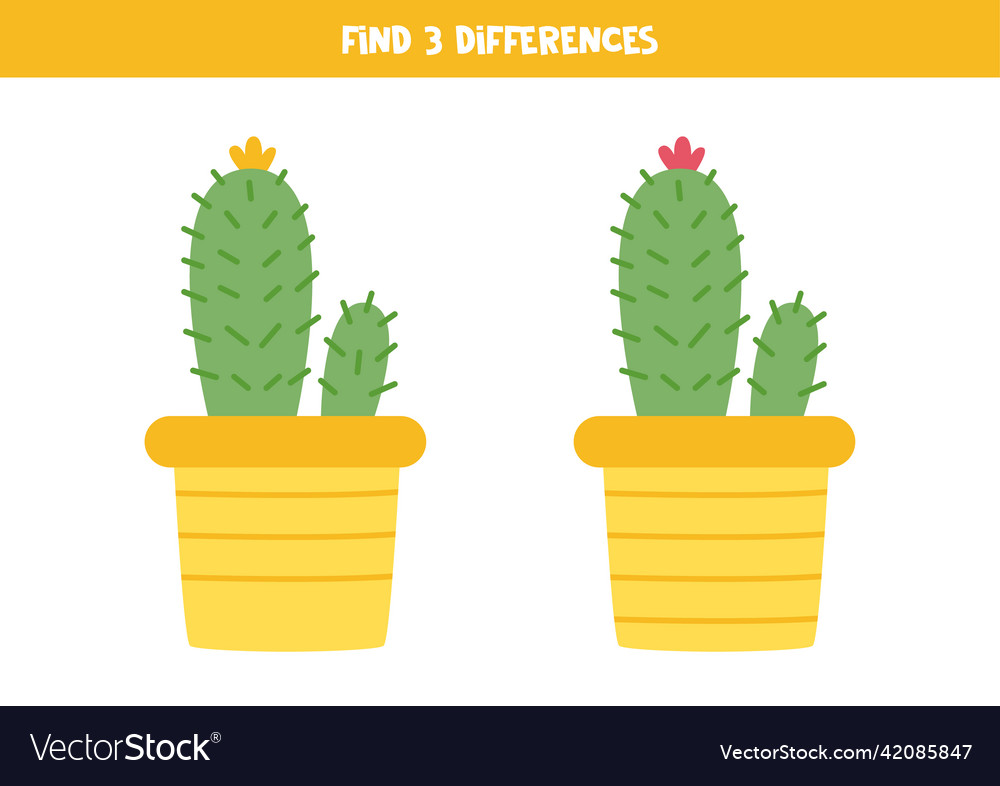 Find three differences between two cacti in pots