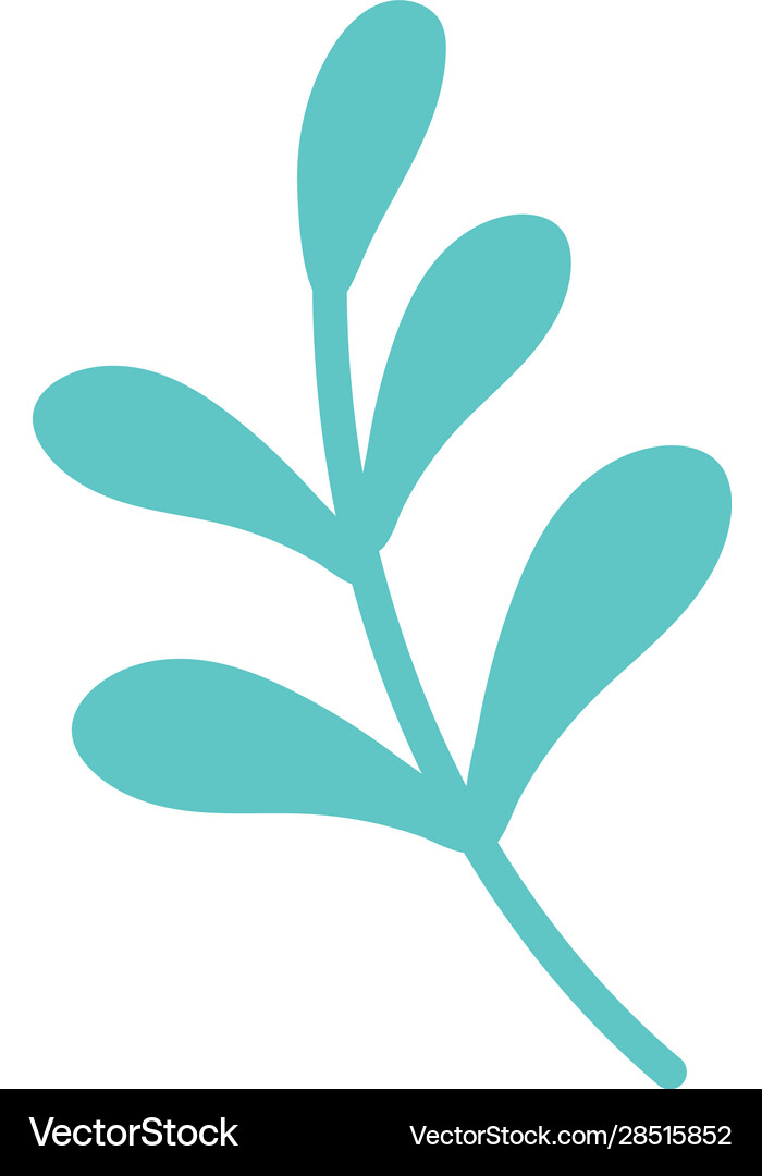 Isolated natural leaf design Royalty Free Vector Image