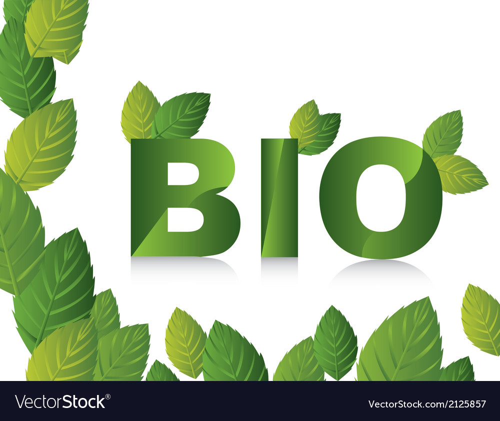 Bio text with leaves over white background