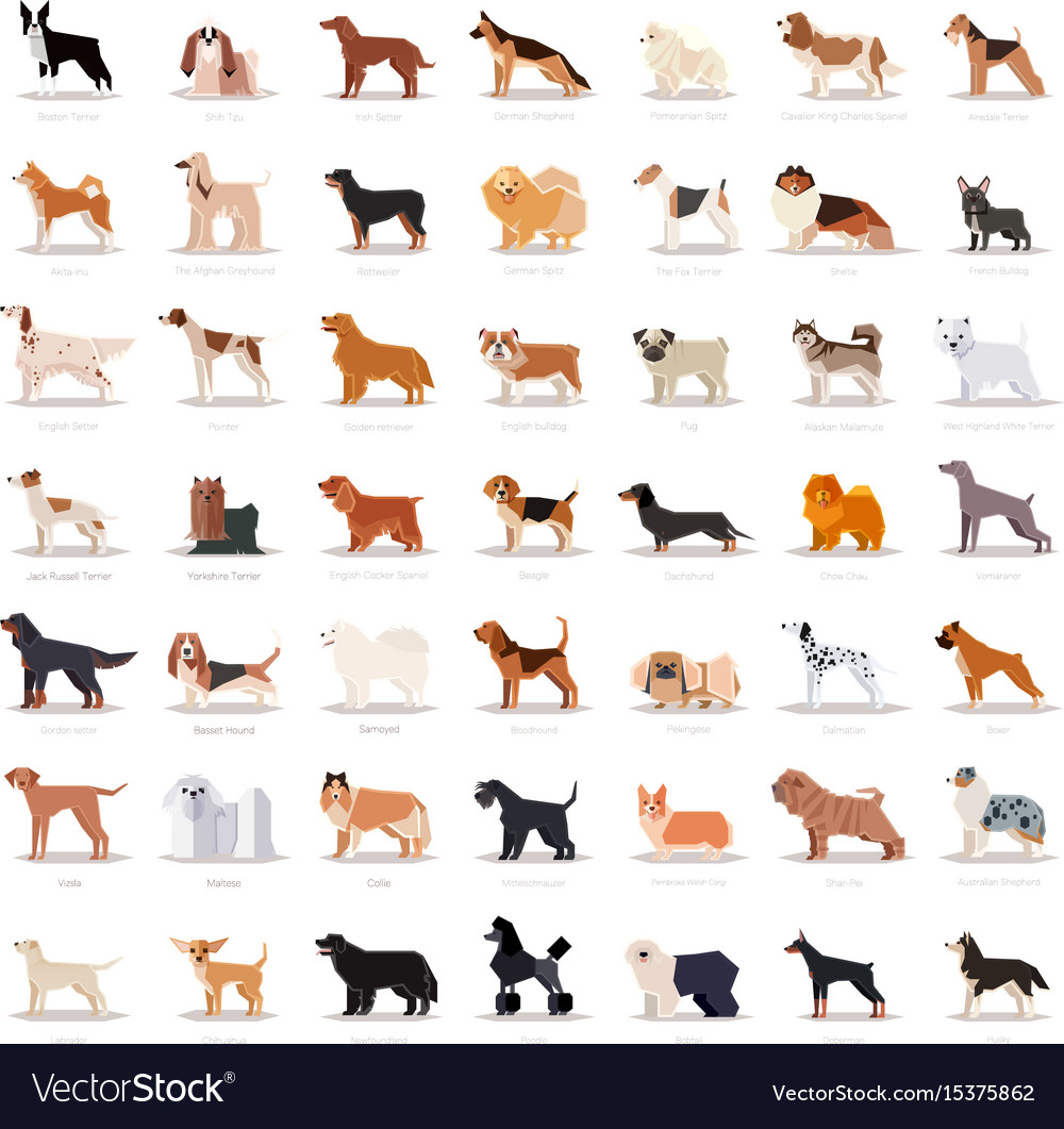 Big set flat dogicons Royalty Free Vector Image