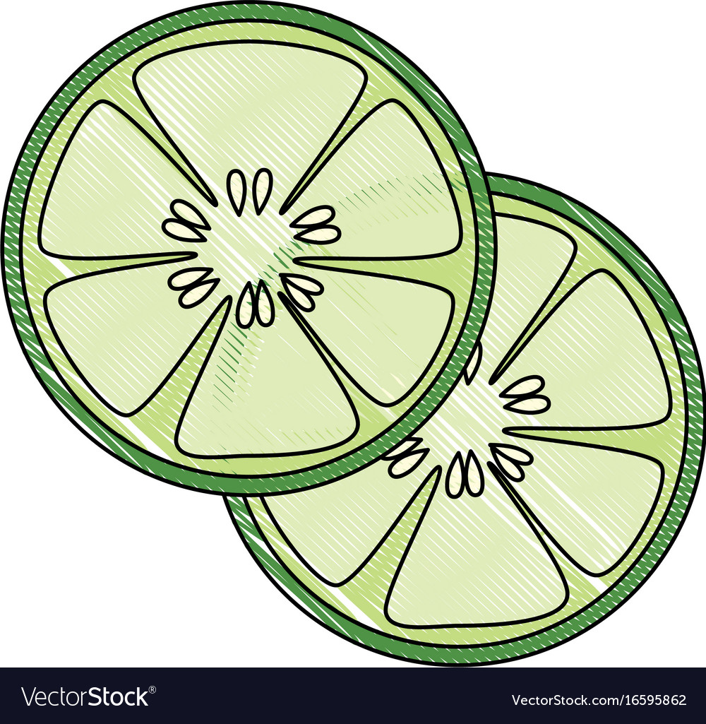 Cucumber slices icon