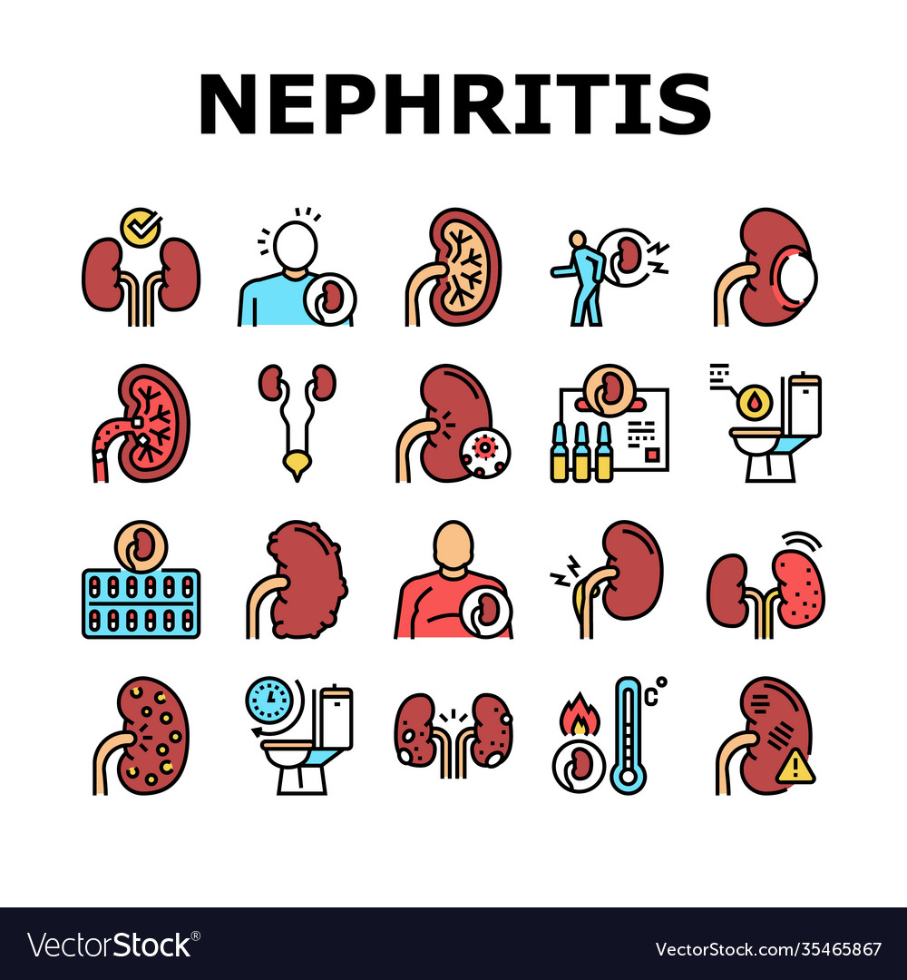 Nephritis Nieren Sammlung Icons Set