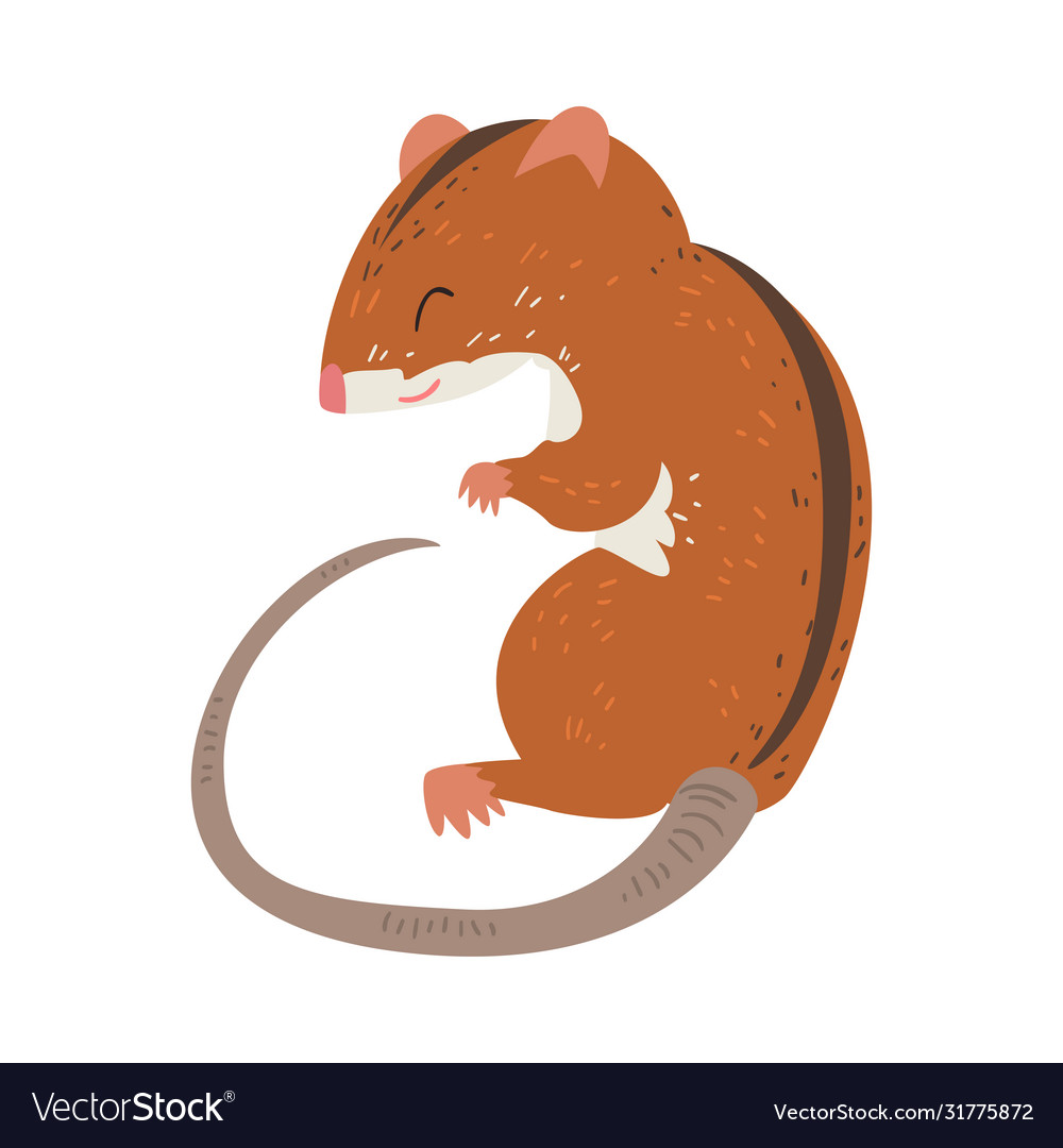 Field mouse adorable fluffy red rodent animal Vector Image