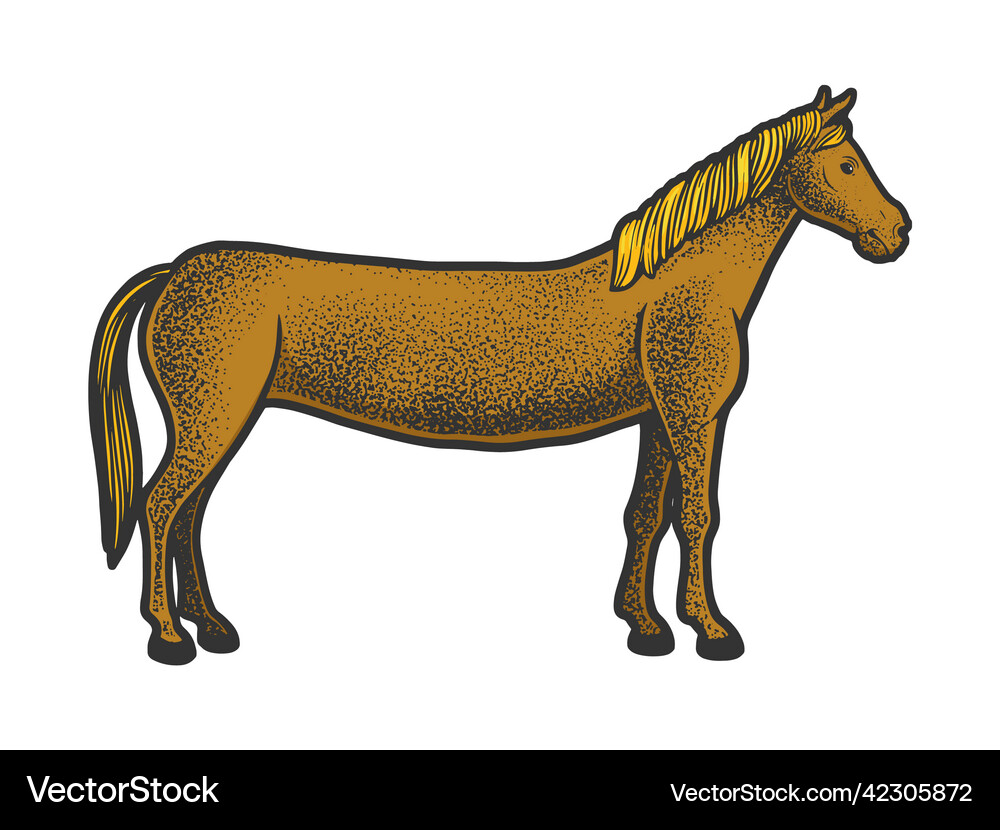 Long horse color sketch Royalty Free Vector Image