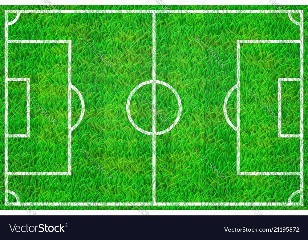 Soccer field with marking lines on grass texture Vector Image