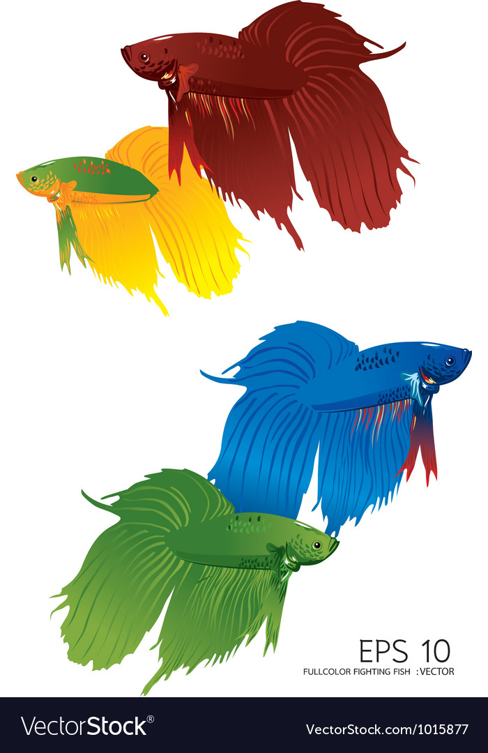 Background with fight fishes Royalty Free Vector Image