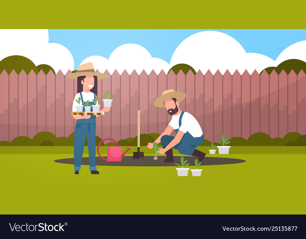 Couple Farmers Planting Young Seedlings Plants Vector Image 7221